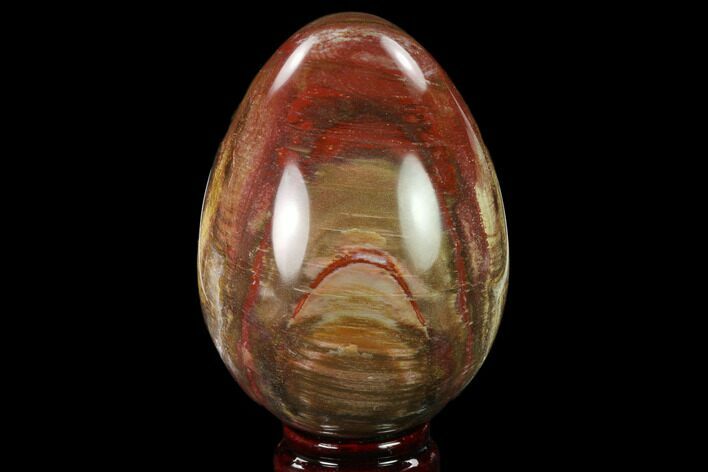 Colorful, Polished Petrified Wood Egg - Triassic #133911